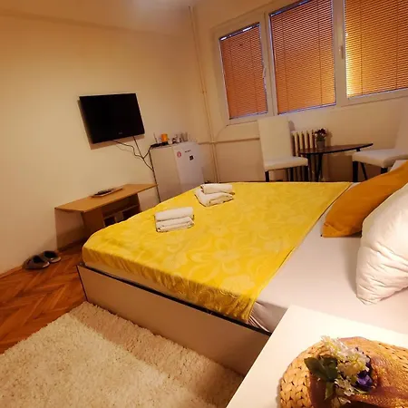 Apartment Aleksandra 4 *